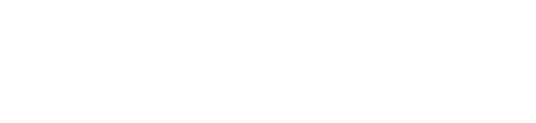 RewardLion Business Solutions